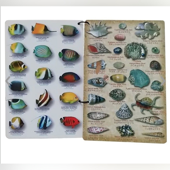 Submersible pocket fish guide-Fish of Tahiti - Picture 4 of 9